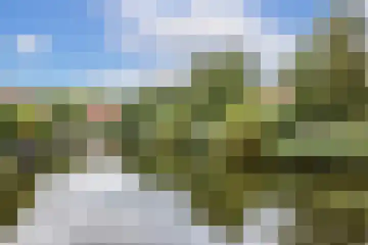 Malberg 3 De Meern thumbnail 38