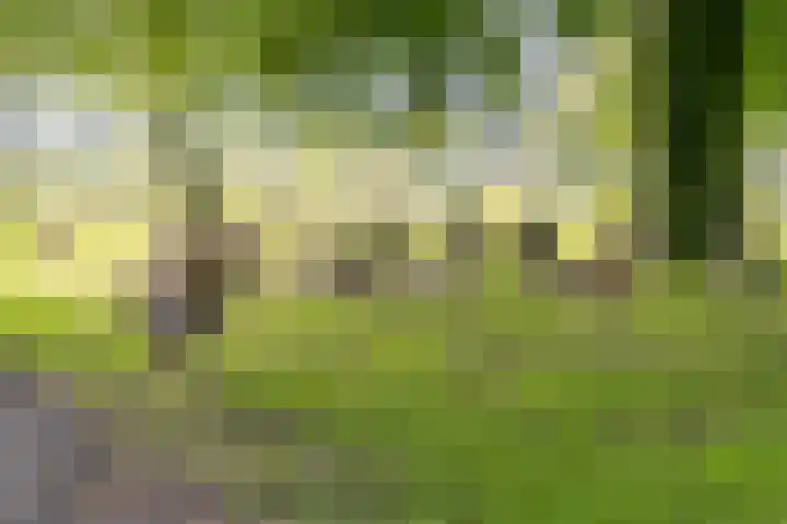Malberg 3 De Meern thumbnail 40