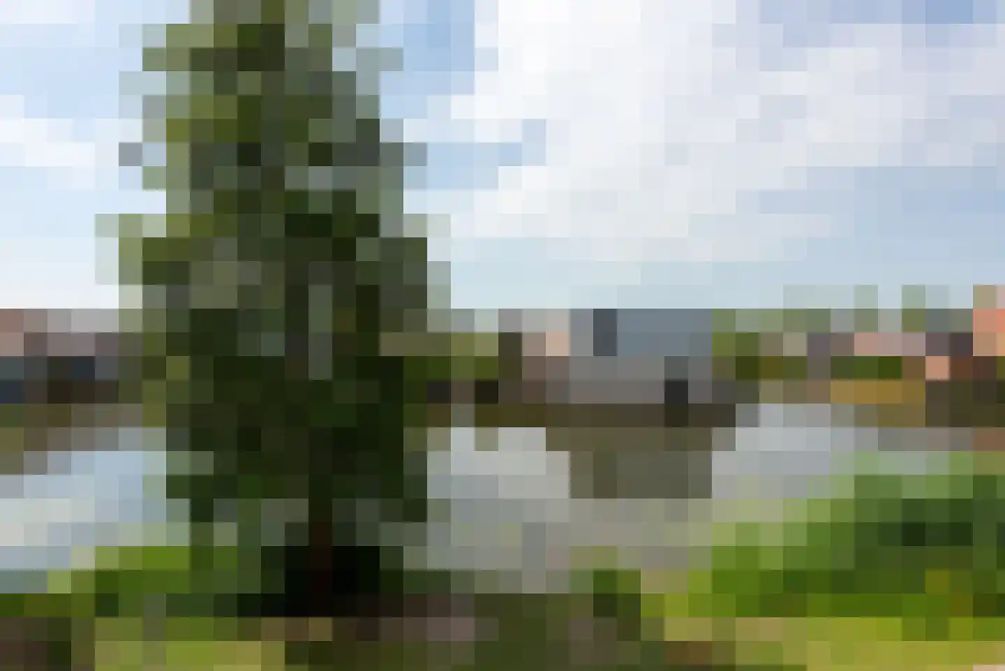 Malberg 59 De Meern thumbnail 25