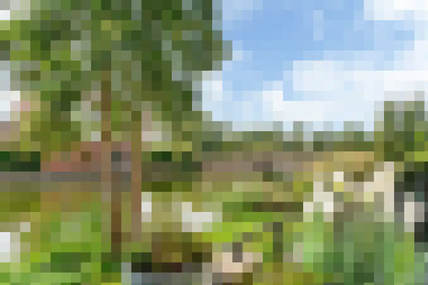 Malberg 64 De Meern thumbnail 5