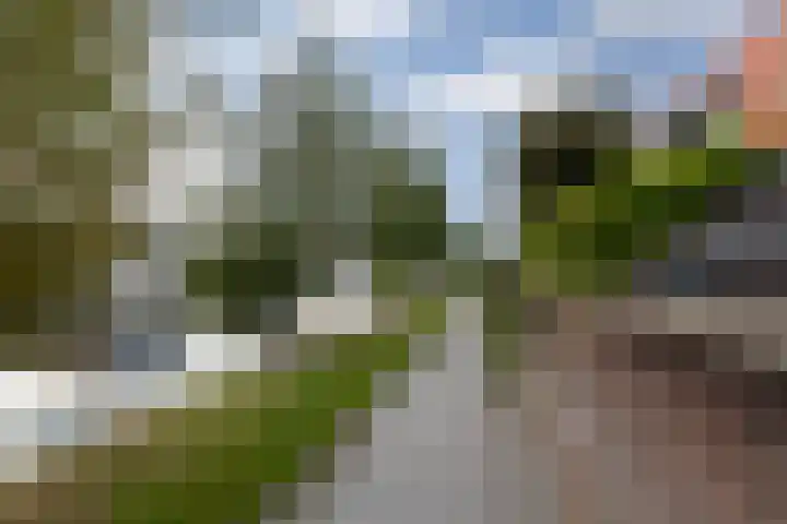 Malberg 7 De Meern thumbnail 11
