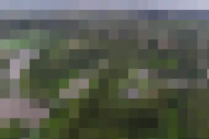 Malberg 7 De Meern thumbnail 39