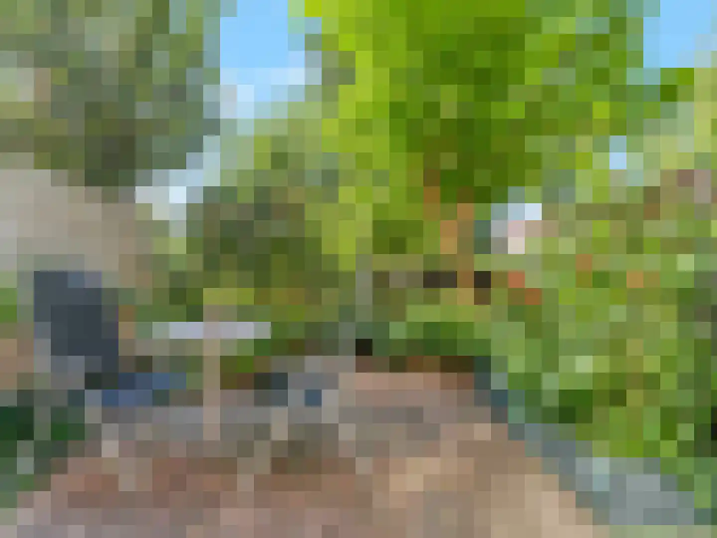 Malberg 9 De Meern thumbnail 11