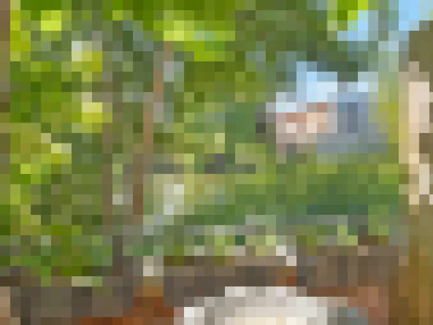 Malberg 9 De Meern thumbnail 12