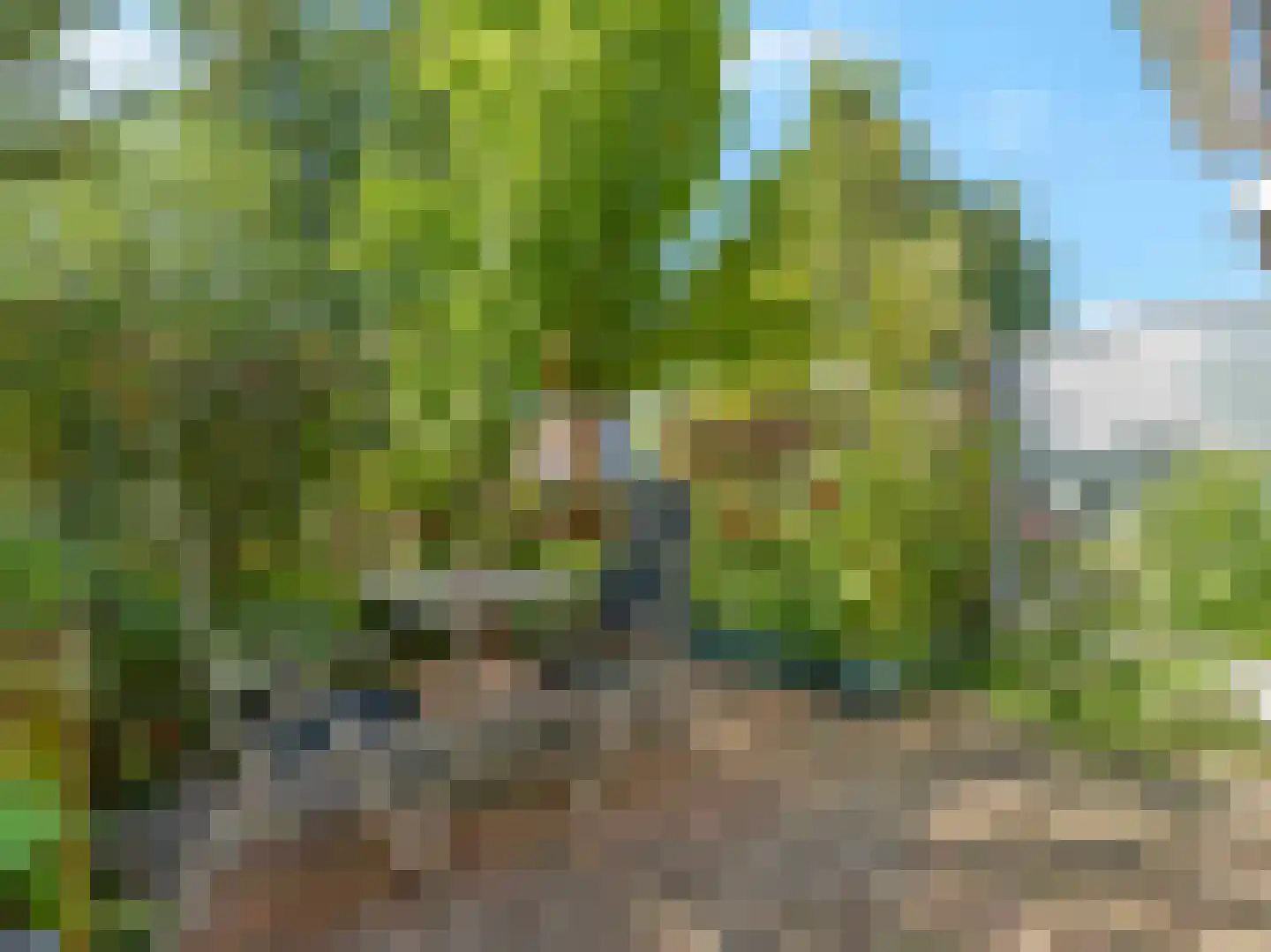 Malberg 9 De Meern thumbnail 13