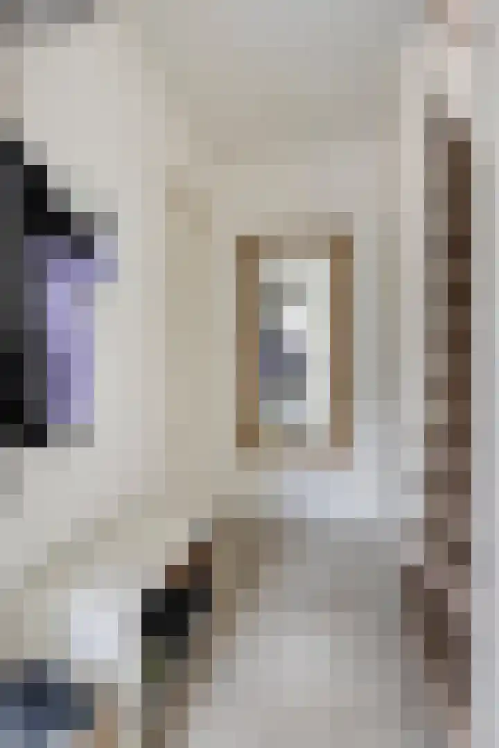 Maldegempad 4 Eindhoven thumbnail 11