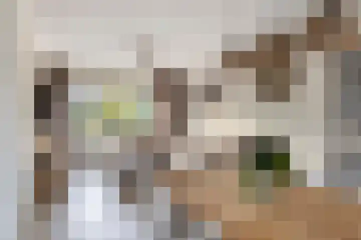 Maldegempad 4 Eindhoven thumbnail 14