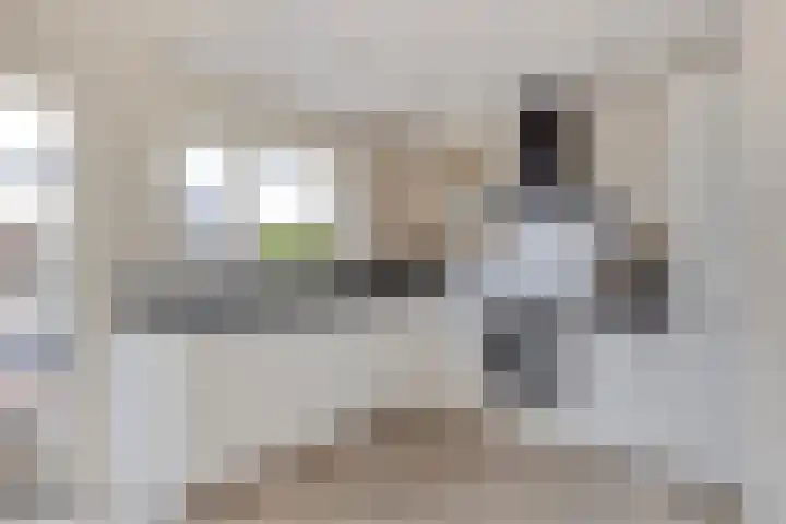 Maldegempad 4 Eindhoven thumbnail 17