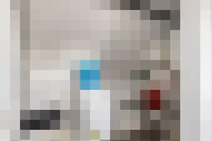 Maldegempad 4 Eindhoven thumbnail 29
