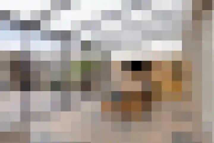 Maldegempad 4 Eindhoven thumbnail 32