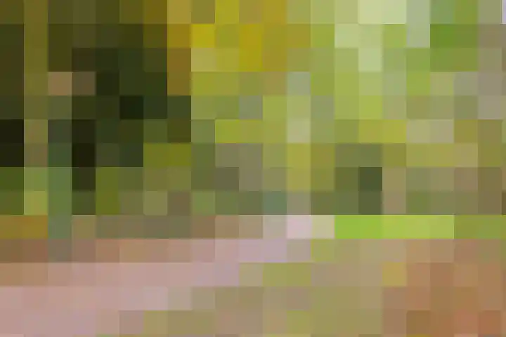 Maldegempad 4 Eindhoven thumbnail 35