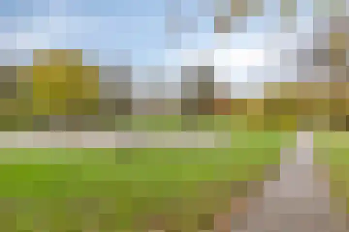 Maldegempad 4 Eindhoven thumbnail 36