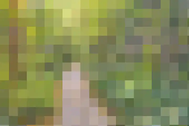 Maldegempad 4 Eindhoven thumbnail 37