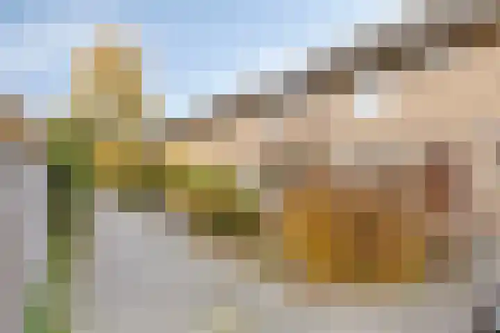 Maldegempad 4 Eindhoven thumbnail 7