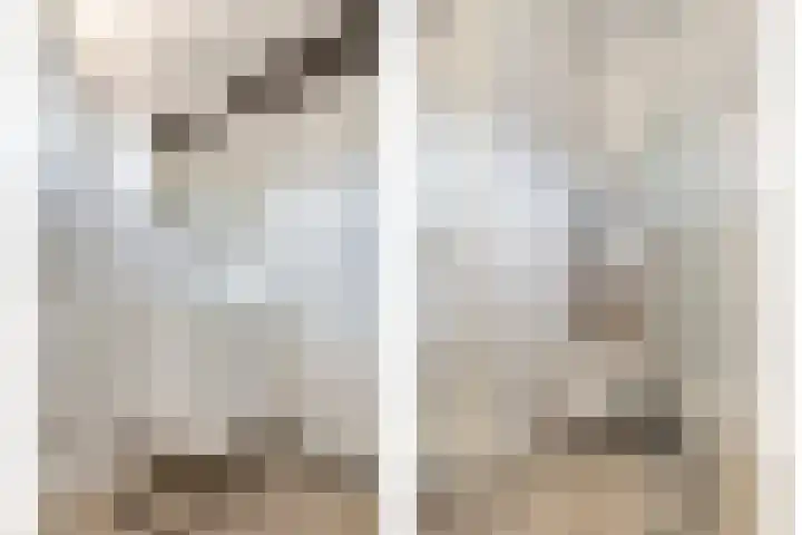 Maldegempad 4 Eindhoven thumbnail 9