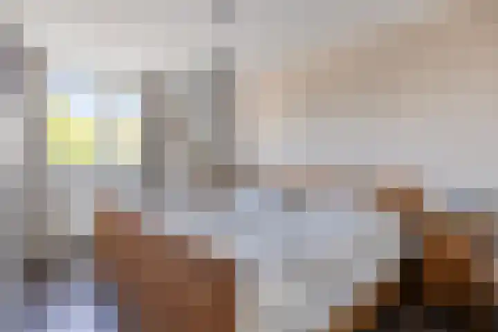 Maldegemstraat 11 Wierden thumbnail 17