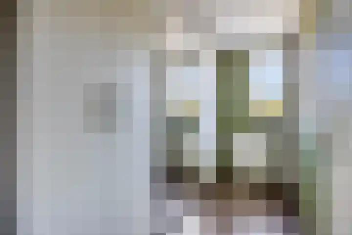 Maldegemstraat 11 Wierden thumbnail 19
