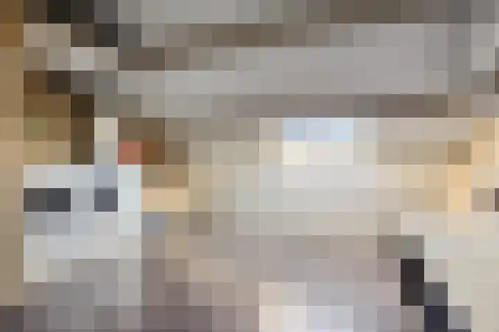 Maldegemstraat 11 Wierden thumbnail 22