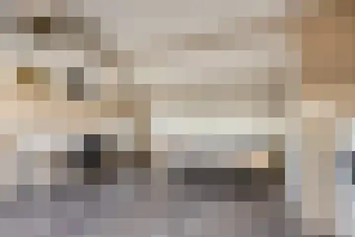 Maldegemstraat 11 Wierden thumbnail 23