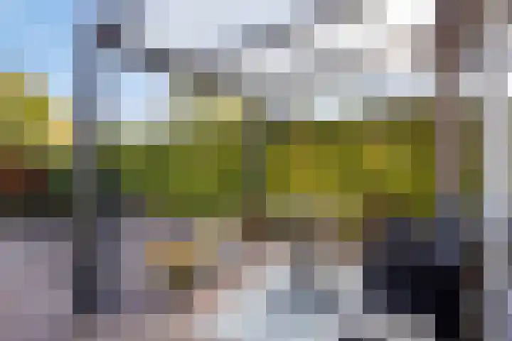 Maldegemstraat 11 Wierden thumbnail 24