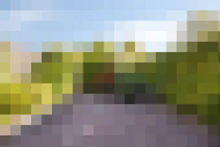 Maldegemstraat 11 Wierden thumbnail 25