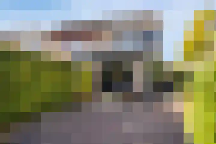 Maldegemstraat 11 Wierden thumbnail 26