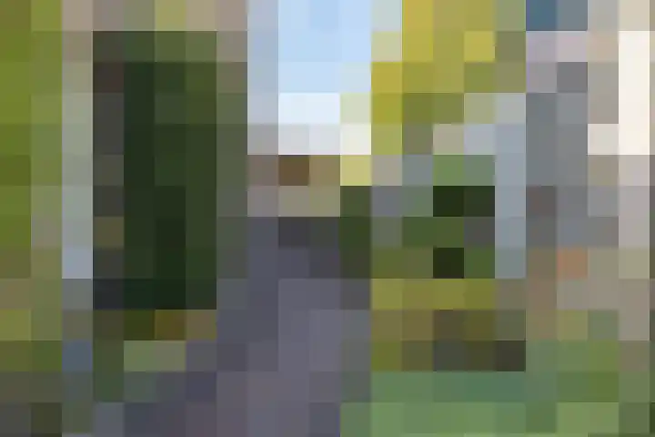 Maldegemstraat 11 Wierden thumbnail 27