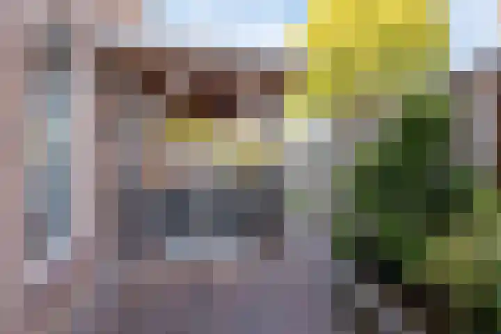 Maldegemstraat 11 Wierden thumbnail 28
