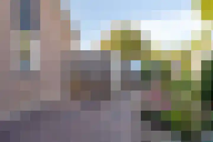 Maldegemstraat 11 Wierden thumbnail 29