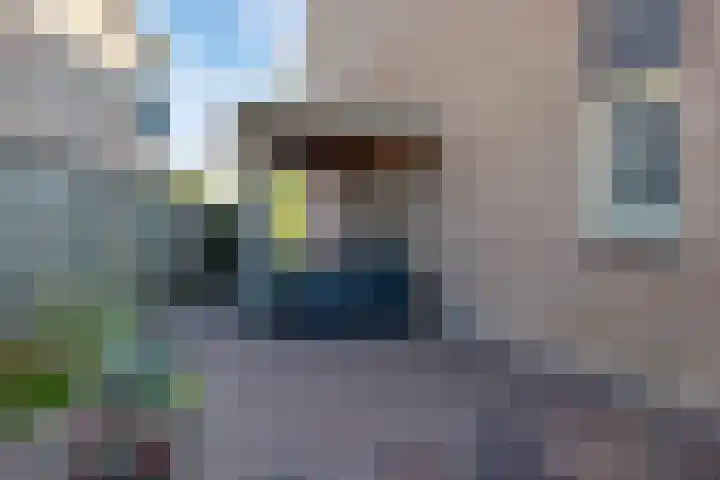Maldegemstraat 11 Wierden thumbnail 30