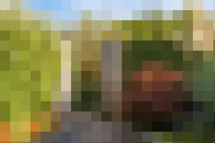 Maldegemstraat 11 Wierden thumbnail 31