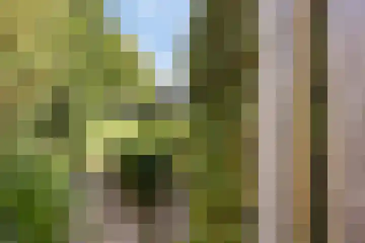 Maldegemstraat 11 Wierden thumbnail 32