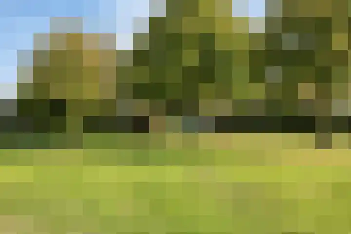Maldegemstraat 11 Wierden thumbnail 33