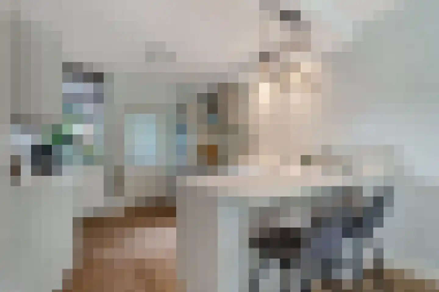 Maldegemstraat 49 Wierden thumbnail 10