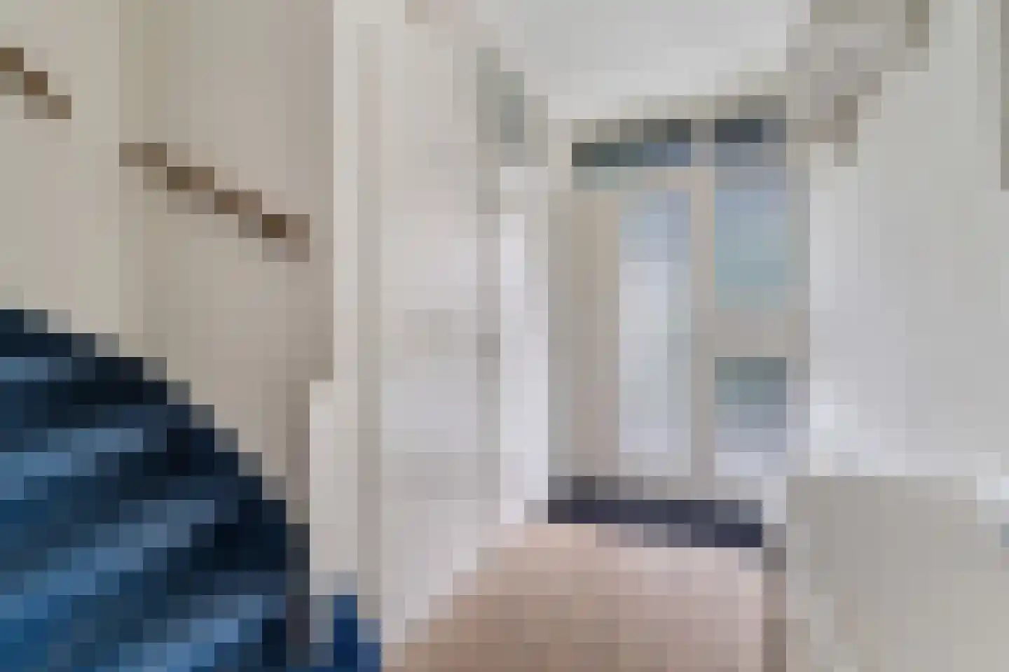 Maldegemstraat 49 Wierden thumbnail 15