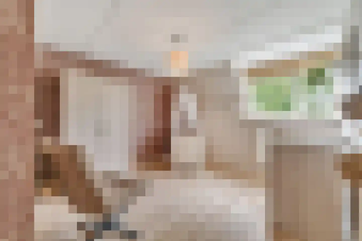 Maldegemstraat 49 Wierden thumbnail 16