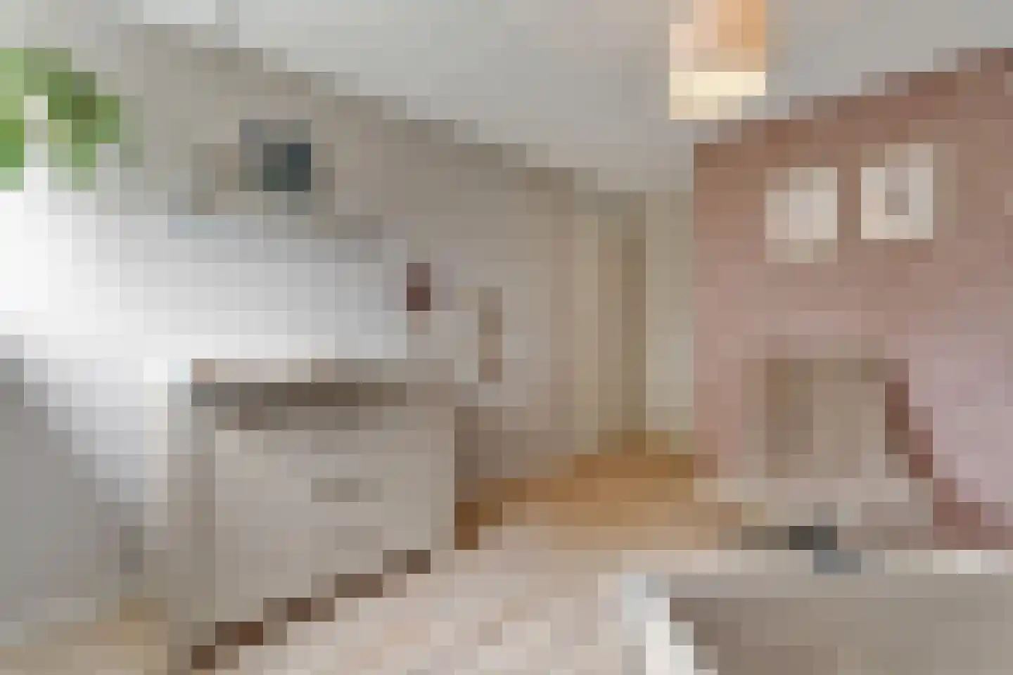 Maldegemstraat 49 Wierden thumbnail 20