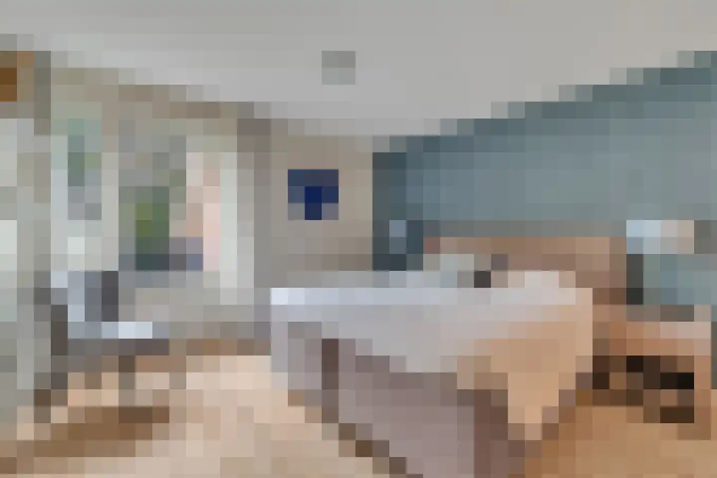 Maldegemstraat 49 Wierden thumbnail 23