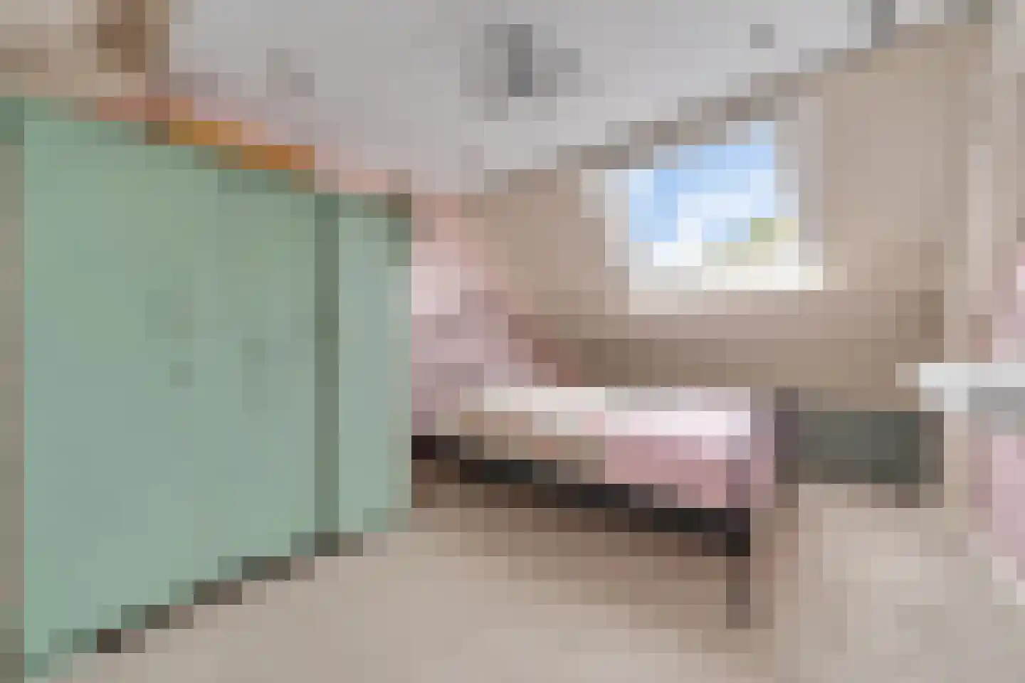 Maldegemstraat 49 Wierden thumbnail 27