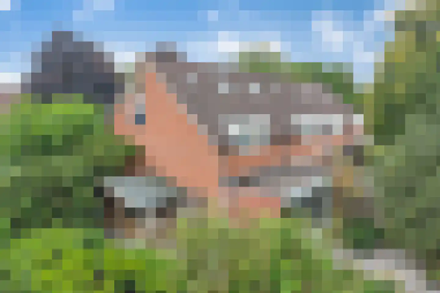 Maldegemstraat 49 Wierden thumbnail 29