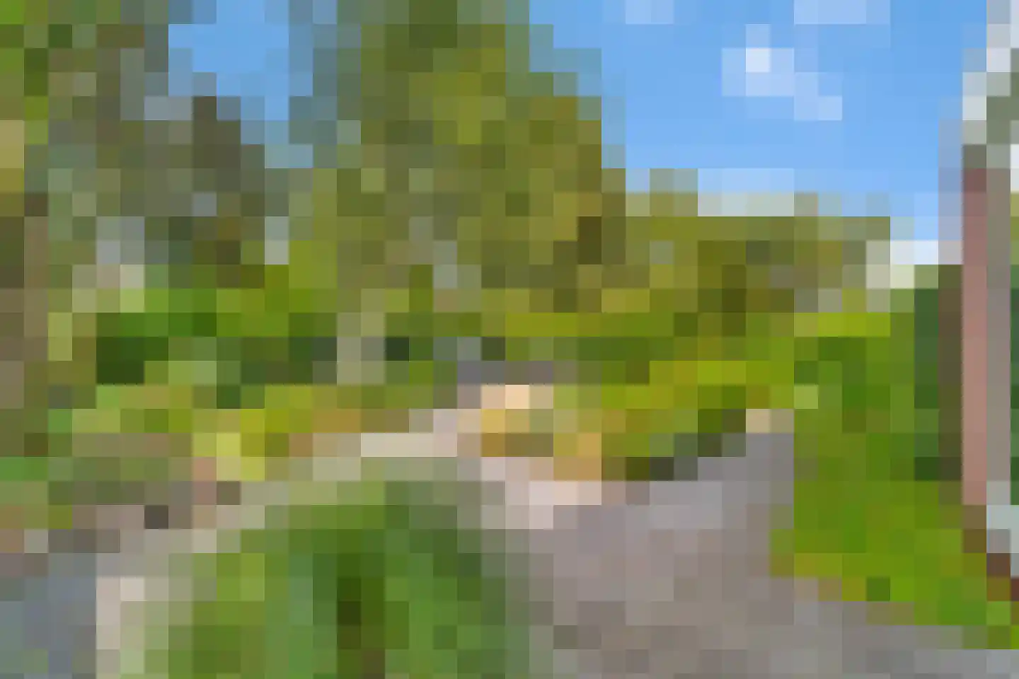 Maldegemstraat 49 Wierden thumbnail 30
