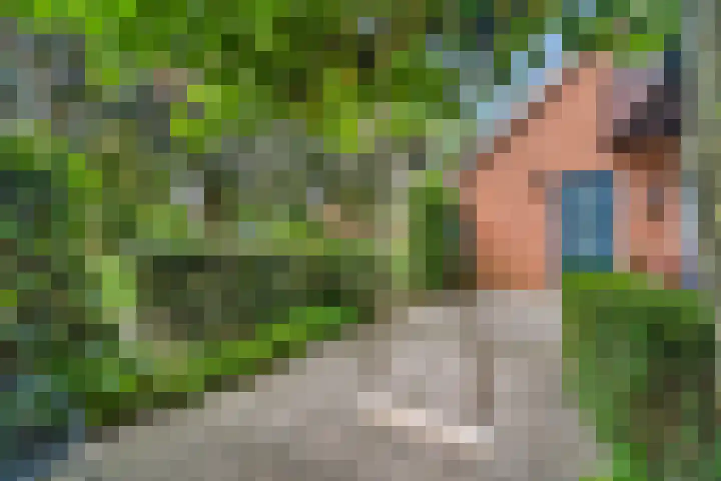 Maldegemstraat 49 Wierden thumbnail 34