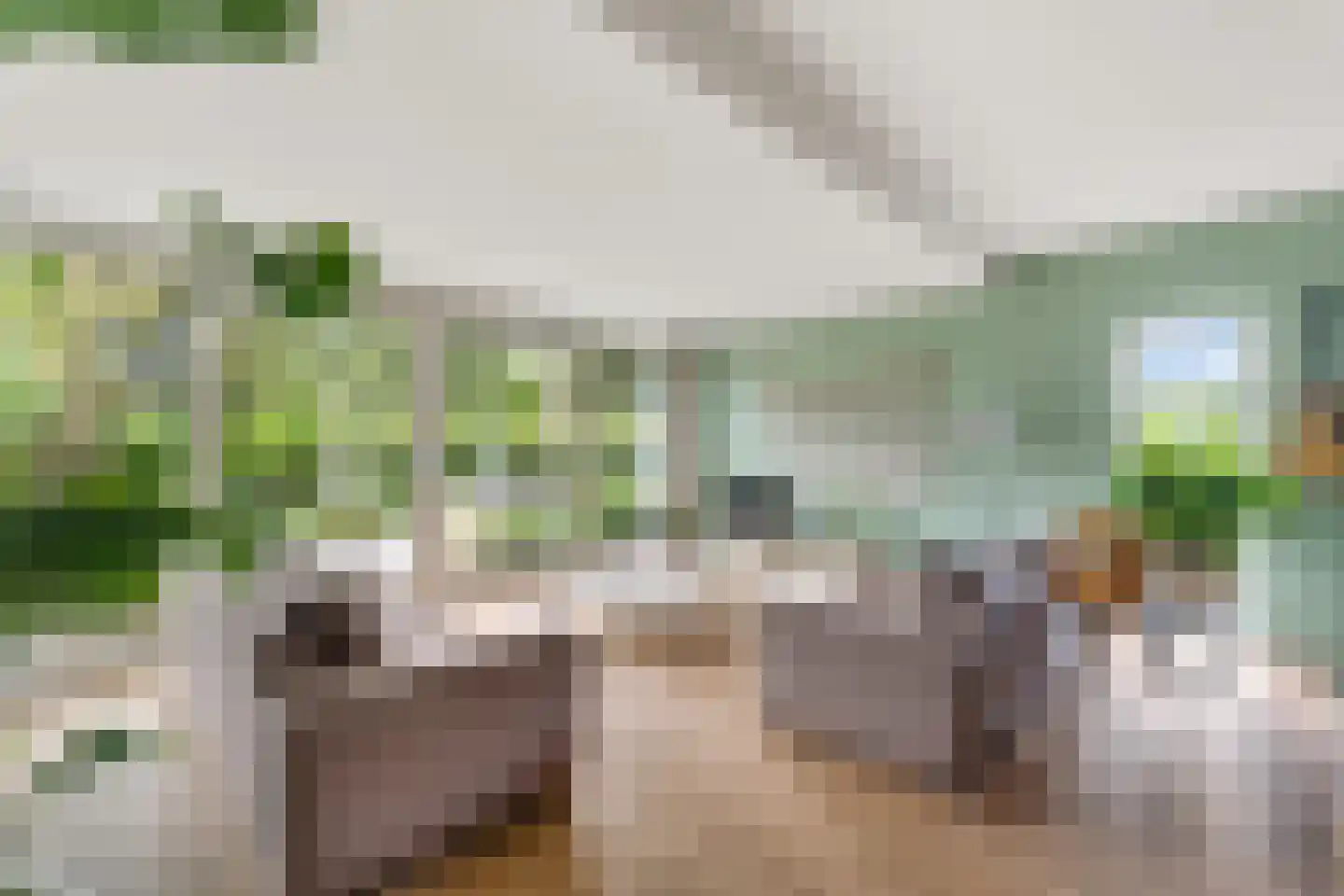 Maldegemstraat 49 Wierden thumbnail 5