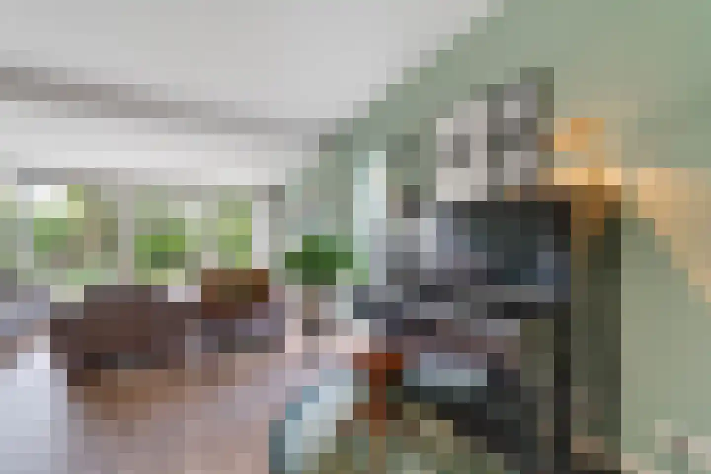 Maldegemstraat 49 Wierden thumbnail 6