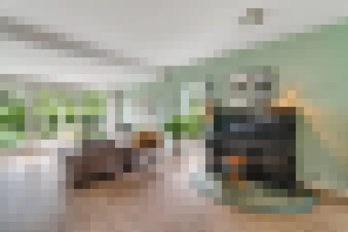 Maldegemstraat 49 Wierden thumbnail 7