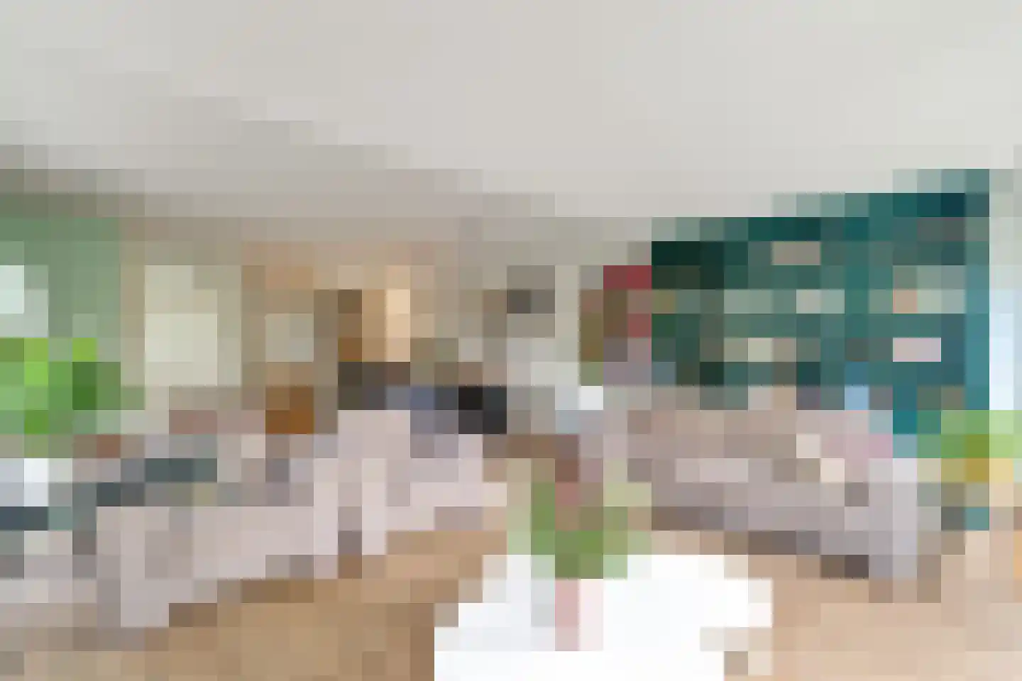 Maldegemstraat 49 Wierden thumbnail 8
