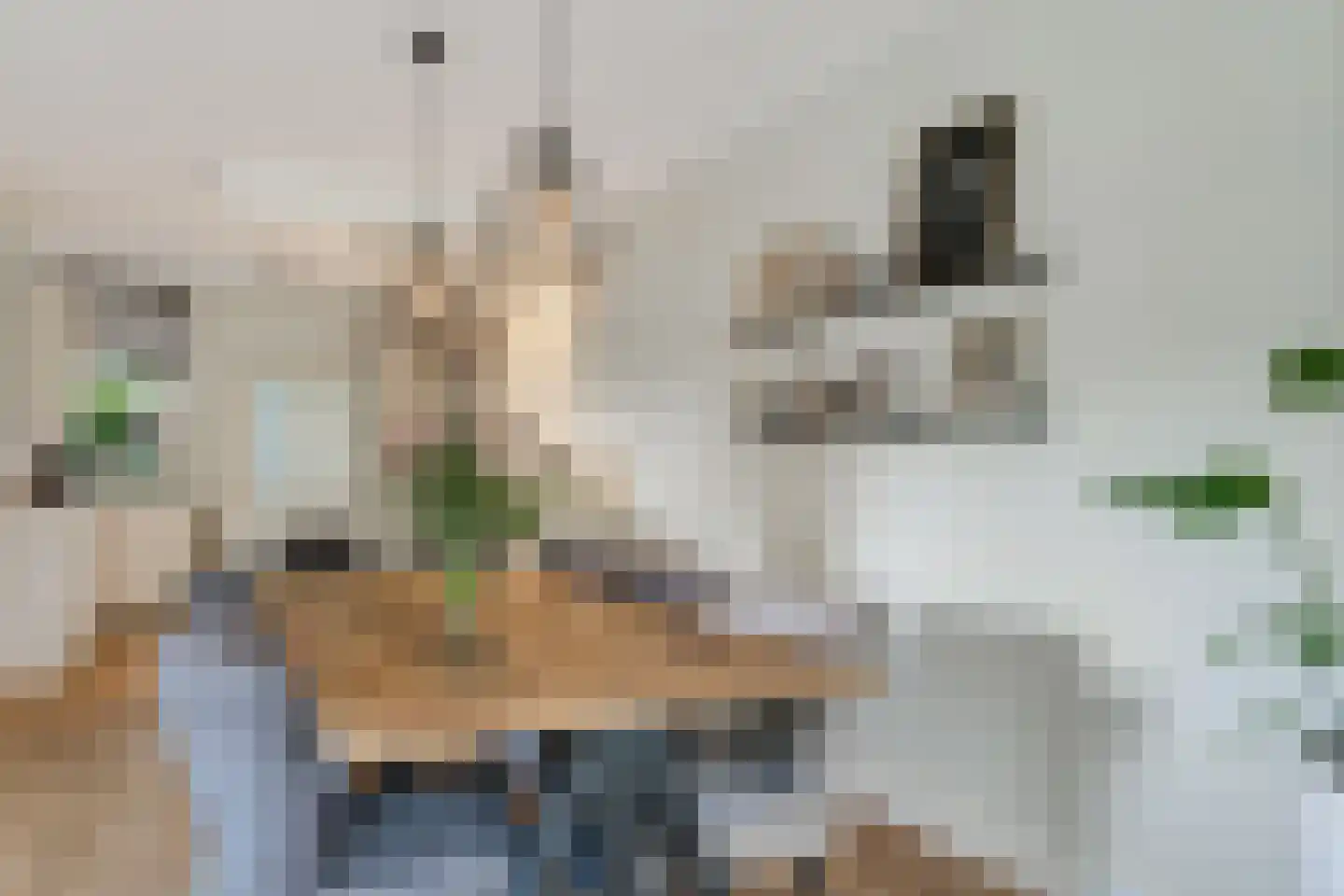 Maldegemstraat 49 Wierden thumbnail 9