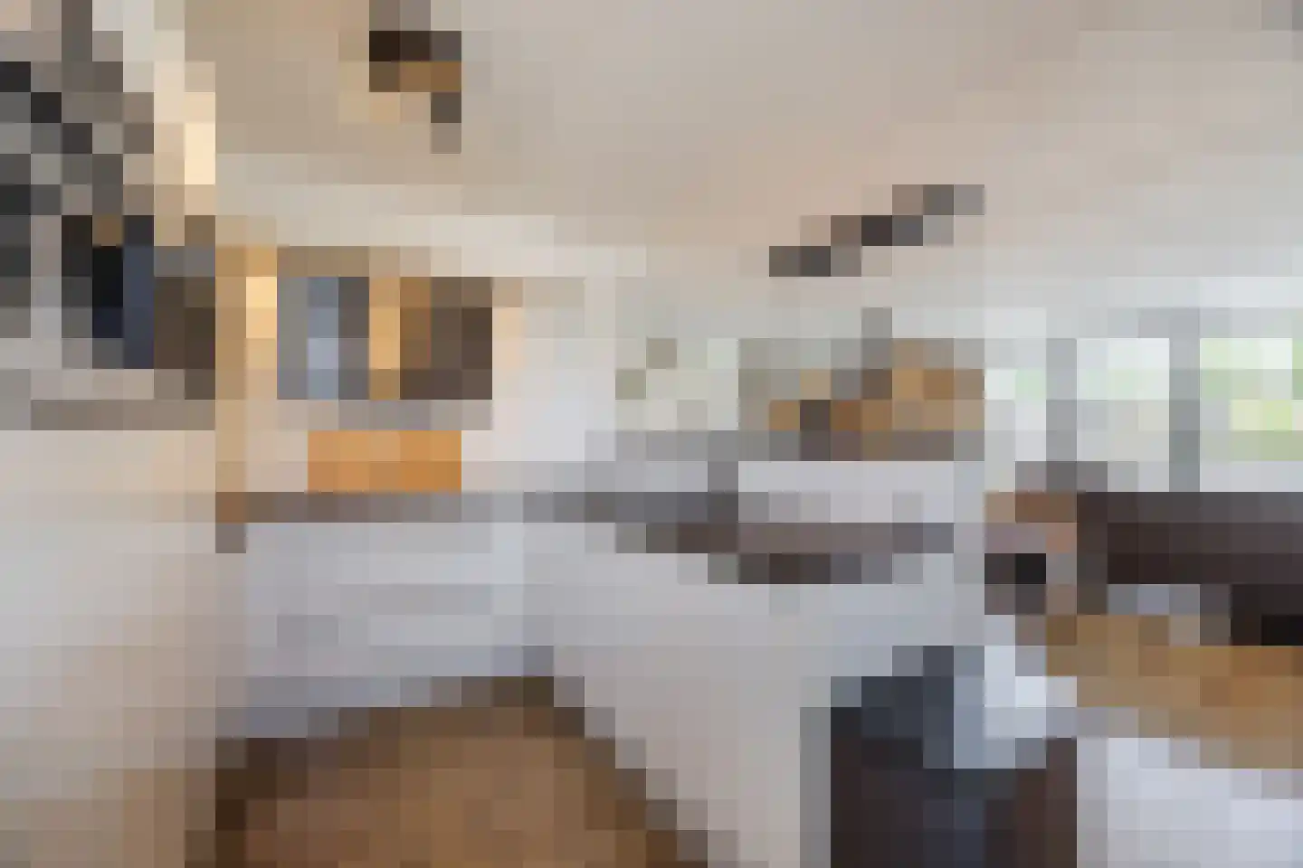 Maldenhof 1 Tilburg thumbnail 12