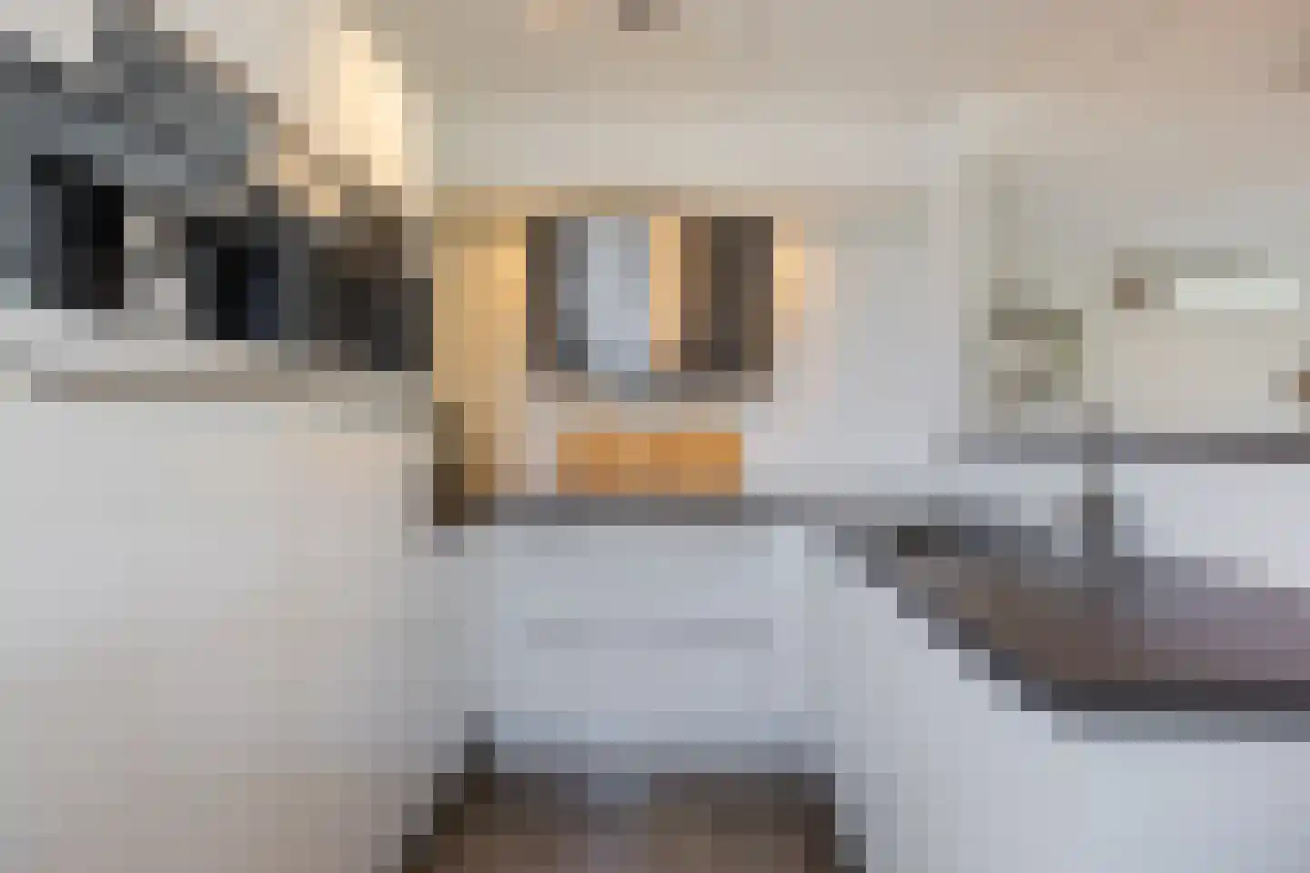 Maldenhof 1 Tilburg thumbnail 13
