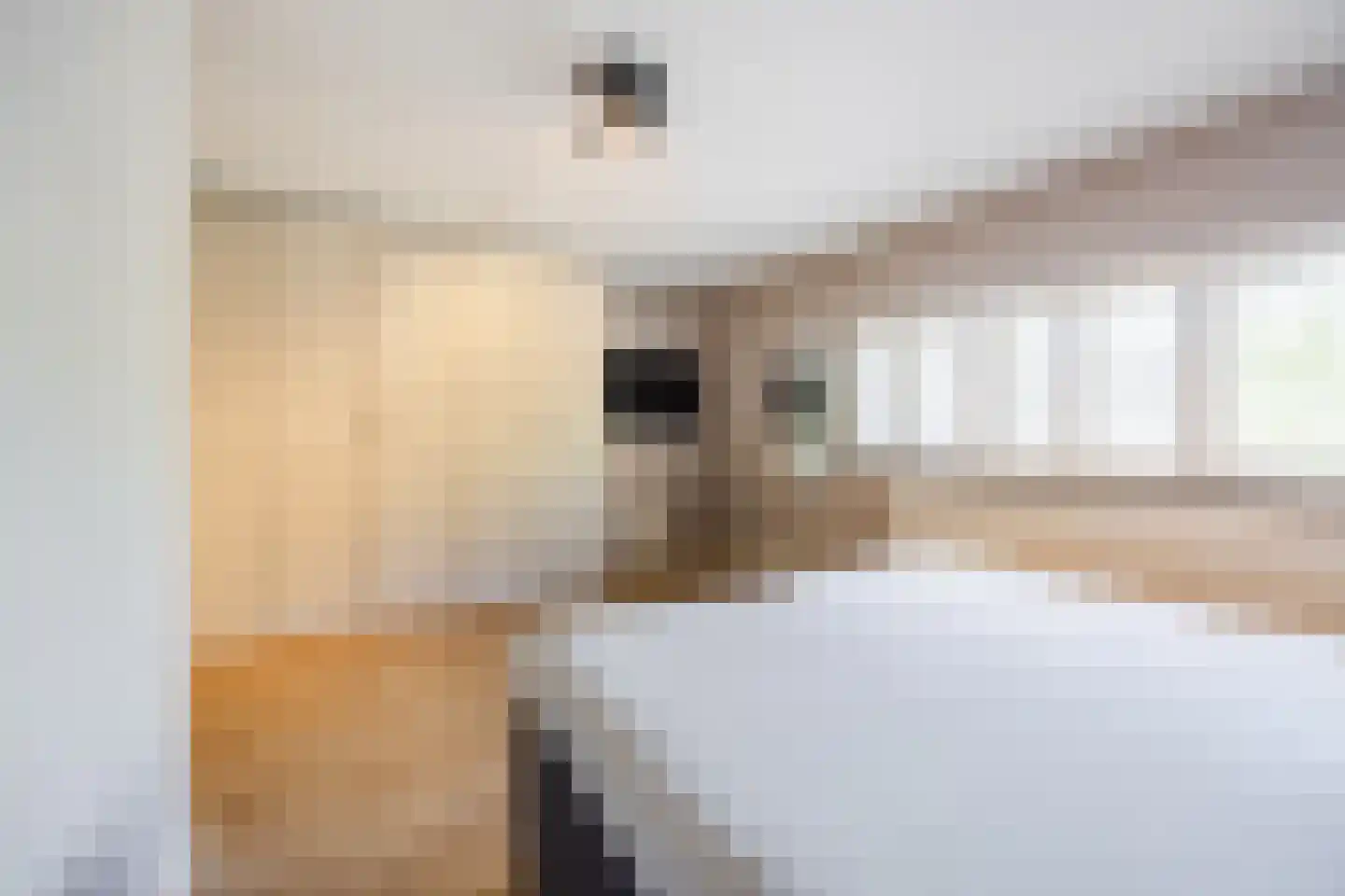 Maldenhof 1 Tilburg thumbnail 23
